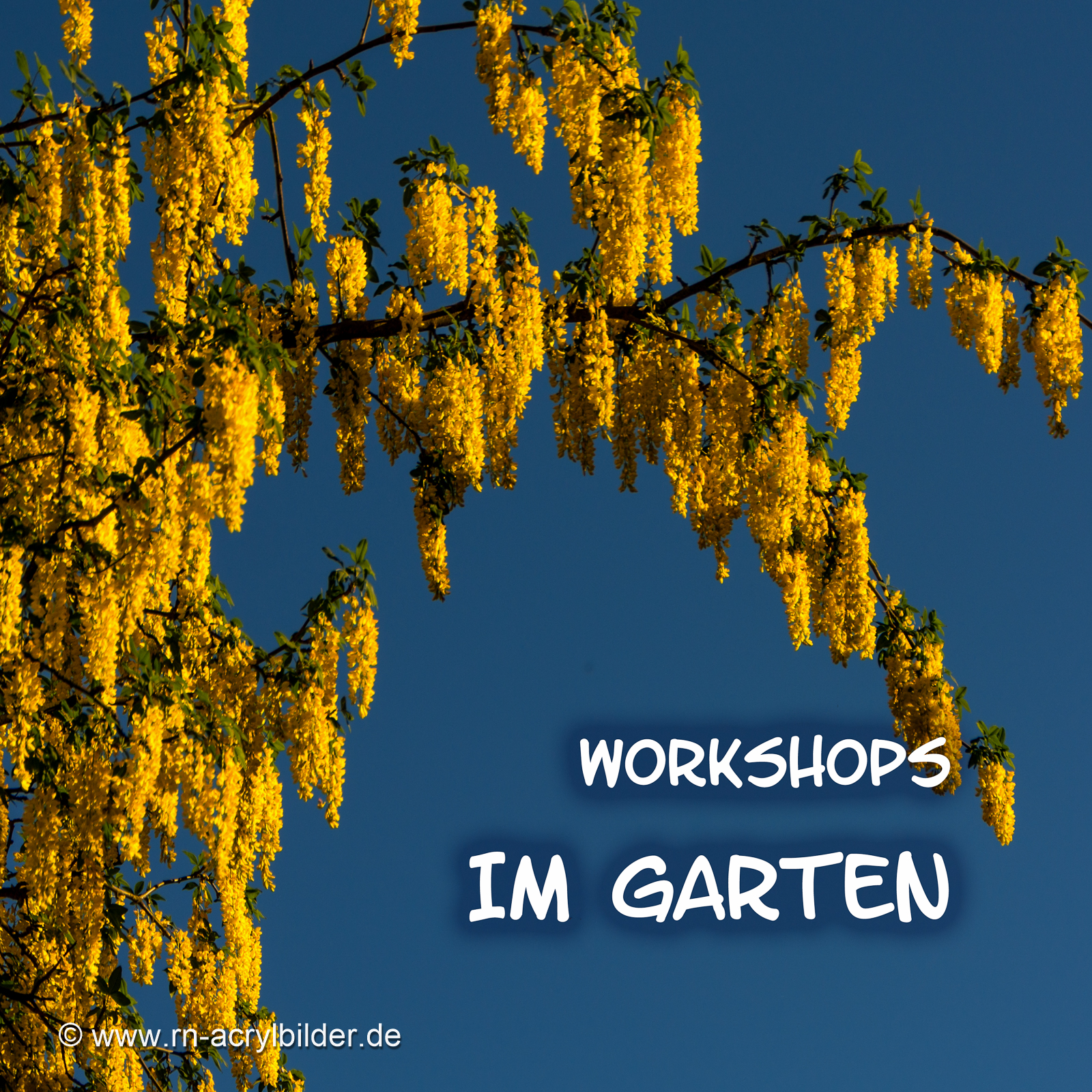 Workshops im Garten